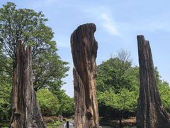 -金钉子远古世界景区