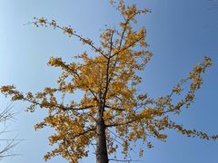 -峄山风景名胜区