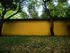 -西园戒幢律寺