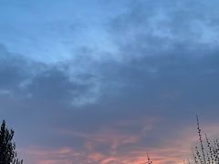 -伊犁河风景区