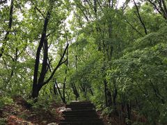 景点-九鼎铁刹山风景区
