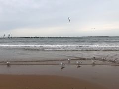-金梦海湾浴场