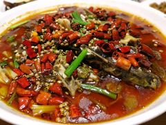 -蜀宴小调·精致家常菜(科华店)