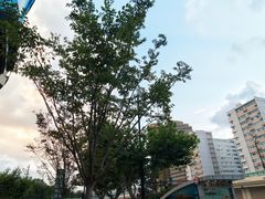 -上海体育场