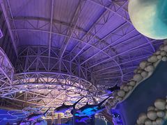 -烟台海昌鲸鲨海洋公园