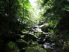 -宁波五龙潭景区