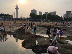 -日照灯塔风景区