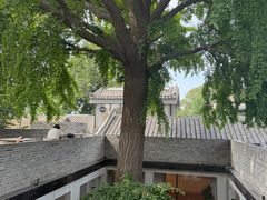 -自如ZSPACE四合院艺术餐厅