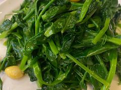 清炒豌豆尖-眉州东坡(亚运村店)