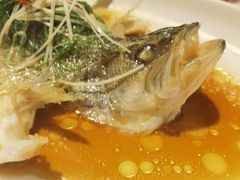 -九朝会昆曲·宴(望京店)