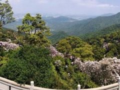 -梧桐山风景名胜区