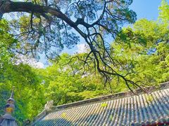 -青岛崂山太清宫