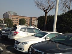 -大宁郁金香公园-停车场