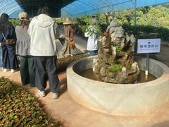 -Torch Coffee 炬点咖啡