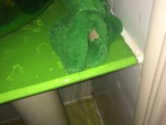 -为公商旅酒店(北京大学口腔医院魏公村总院店)