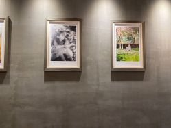 -iplus爱家高端孕妇摄影