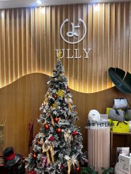 -宥莉·ULLY 痘敏肌•科技皮肤管理中心