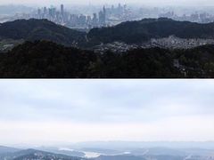 -大金鹰园