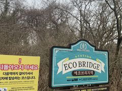 -济州森林小火车生态公园