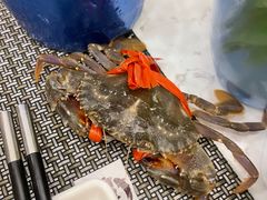 花盖蟹-澜悦港海鲜体验主题餐厅