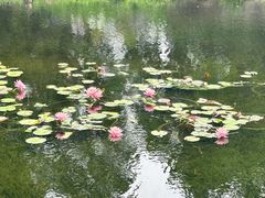-上海滨江森林公园