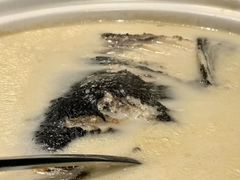 -丹江渔村(望京店)