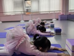 -蒲公英舞蹈艺术中心(促进路校区)