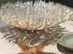 -海口市博物馆