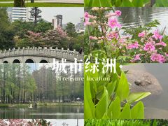 -四海公园(南山区)