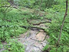 -大青沟风景区