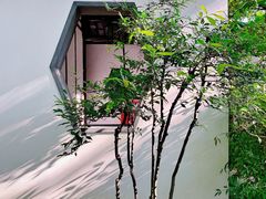 -秋霞圃