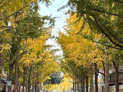 -四川大学(望江校区)