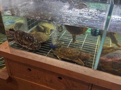 -老海陵·泰州菜(图书馆店)