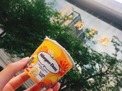 -哈根达斯(西安高新店)