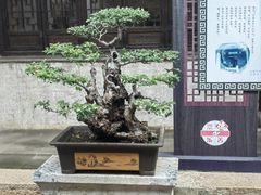 -惠山古镇·寄畅园