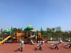 -天津东丽湖风景区