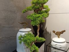 -延年酒店-延飨餐厅(延年文苑店)