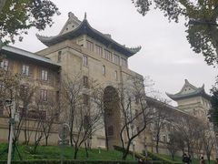 -武汉大学-樱园