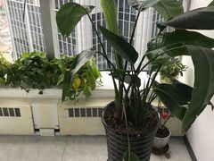 -新航道雅思托福·留学·考研培训(人民广场校区)