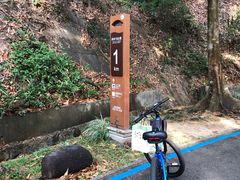 -红花湖景区