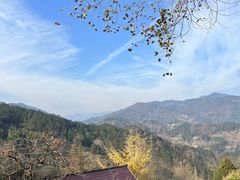 -树山生态村