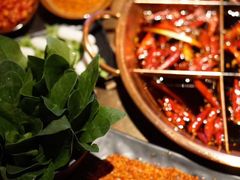 -辣伍鲜毛肚老火锅(元一店)