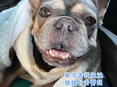 -美联众合动物医院·24h转诊中心