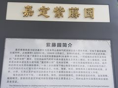 -嘉定紫藤园
