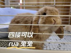 -天丰利生活MALL(和平里店)