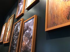 -星巴克(深圳五洲星苑店)