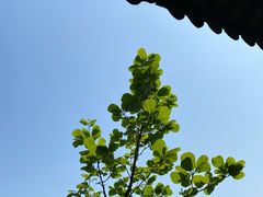 -穹窿山景区