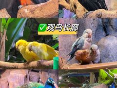 -正佳雨林生态植物园