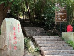 -紫金山山顶公园