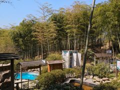 -江南天池高山汤泉城